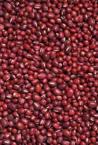 red beans vs kidney beans