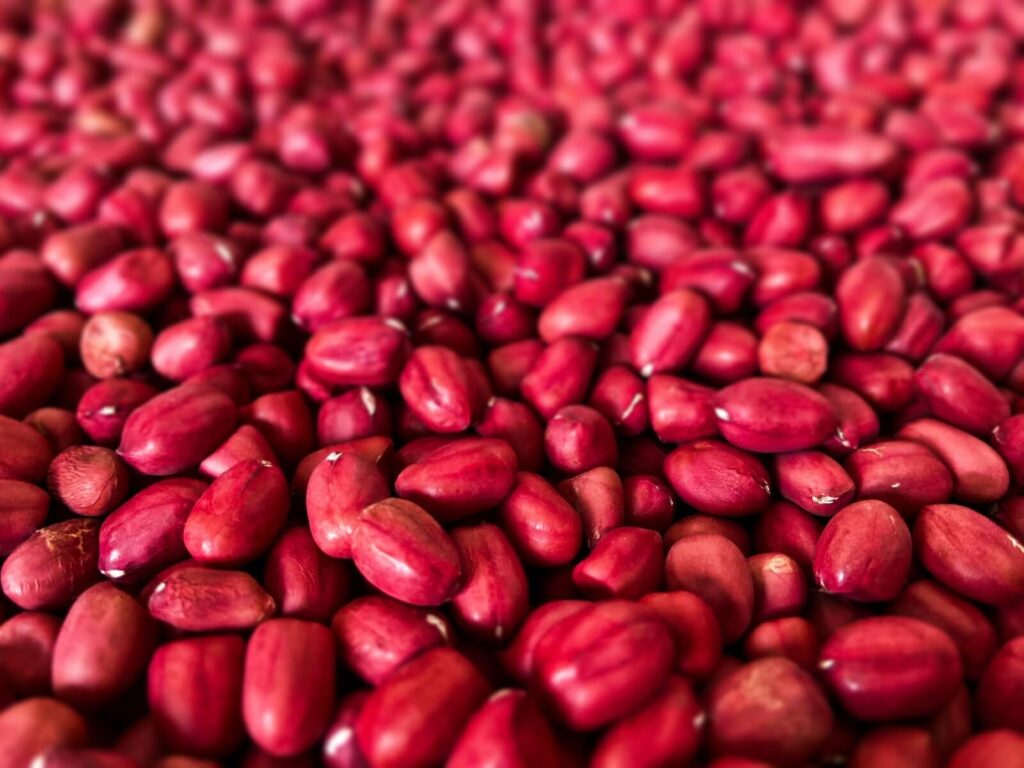 red beans vs kidney beans - flavor