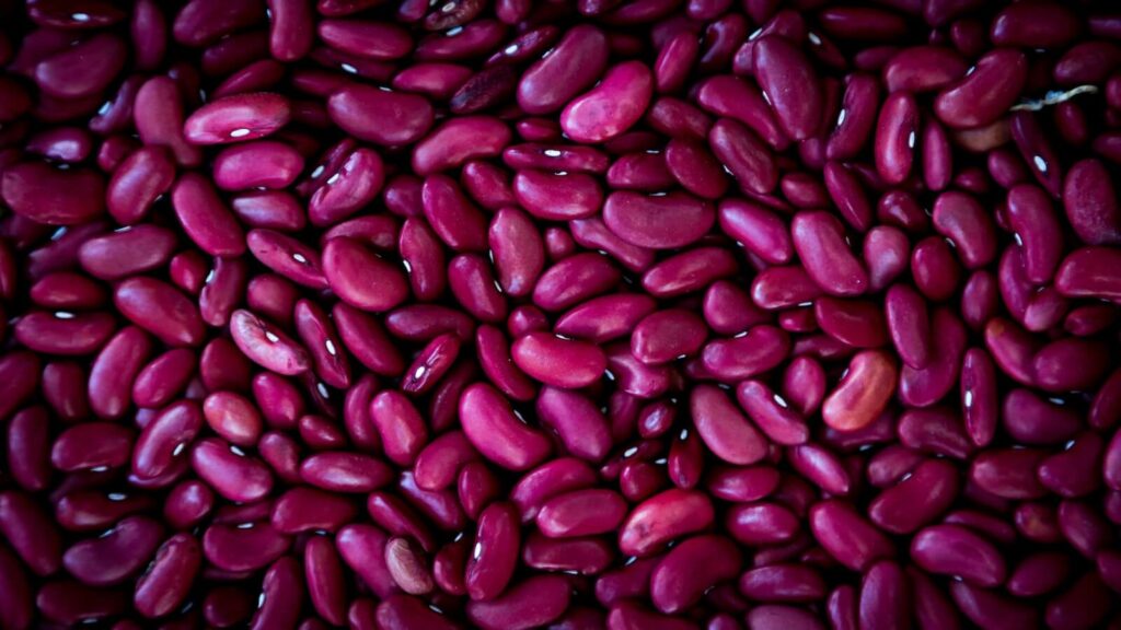 red beans vs kidney beans - size texture