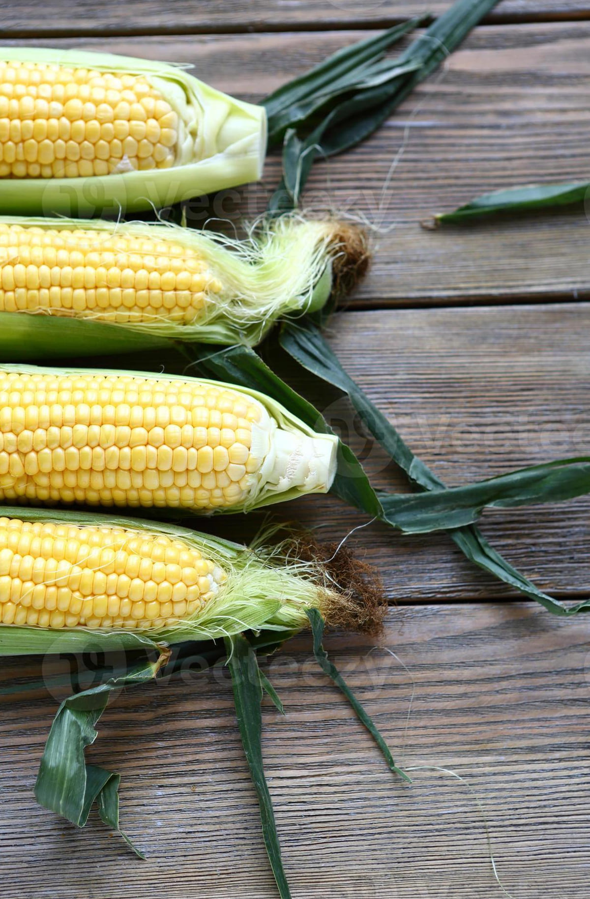 How to store corn on the cob? Learn the best tricks Little BooBoo Bakery