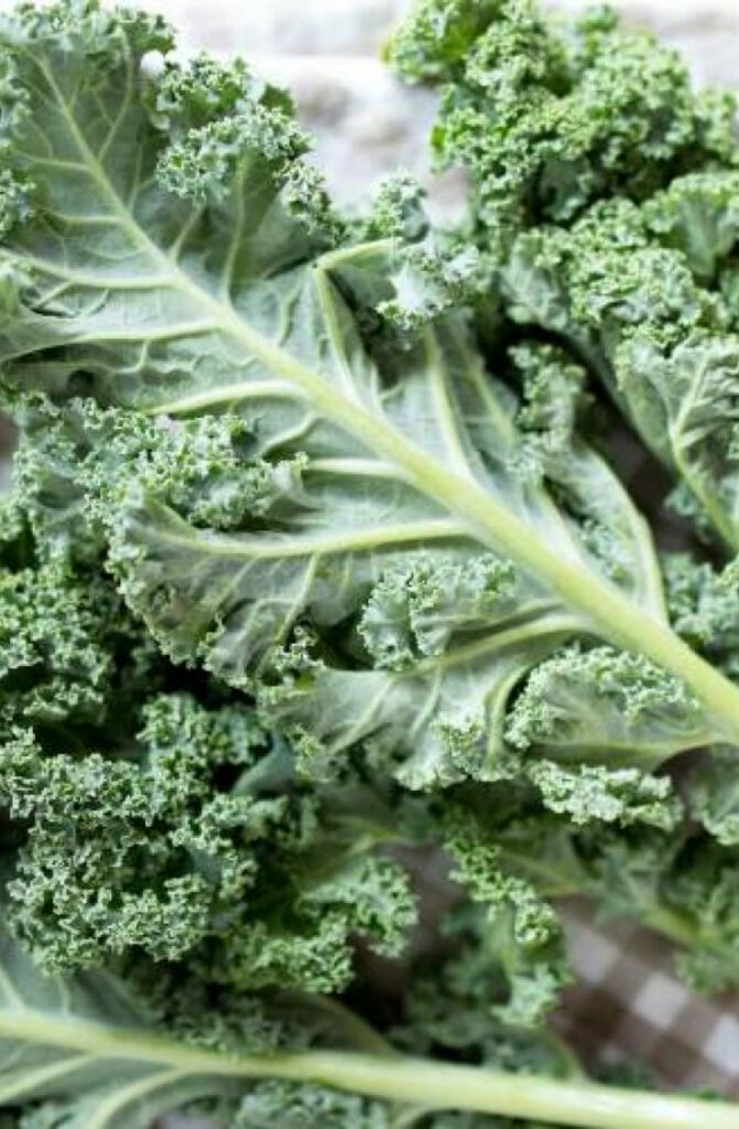 how to store kale in the freezer