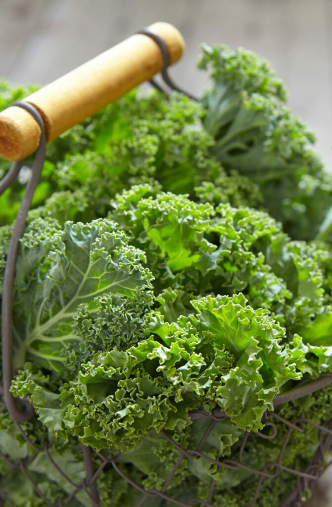 how to store kale in the fridge
