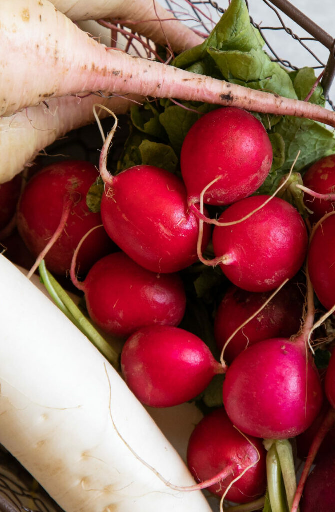how to store radishes