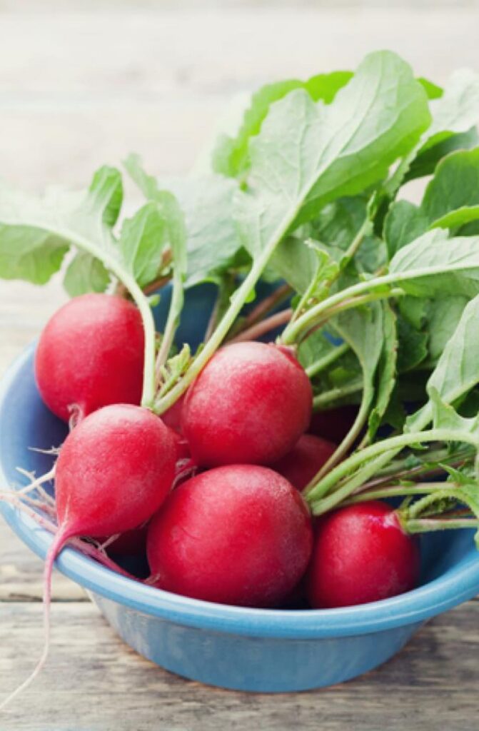 how to store radishes in the freezer