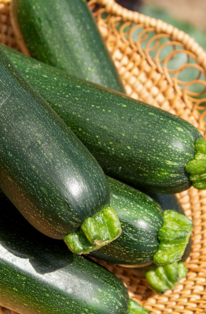how to store zucchini in the refrigerator